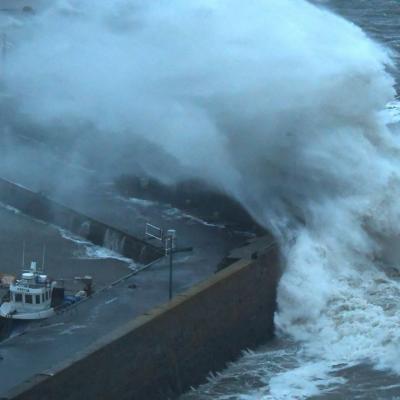 Storm - schade - verzekeringen - West-Vlaanderen - Alduva - Ardooie - Koolskamp - brandverzekering